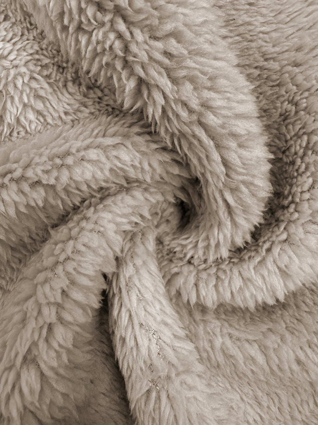 Celie Paris™ | Teddy